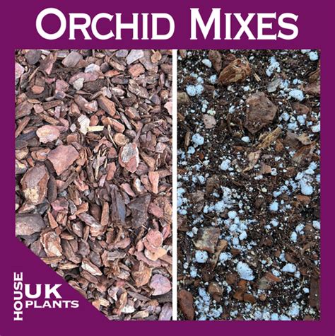 Moth Orchid Soil Mix