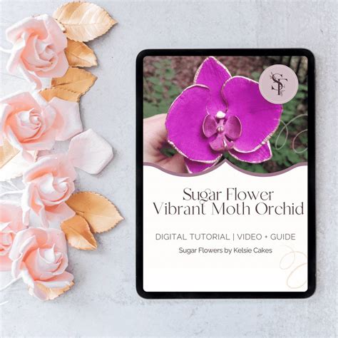 Moth Orchid Sugar Flower Tutorial