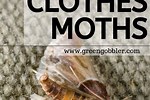 Moth Prevention in Closets