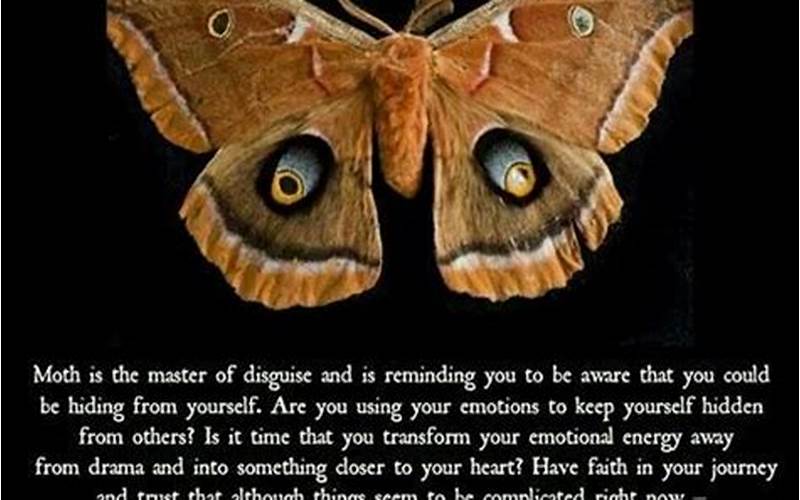 Moths As Symbols Of Destruction