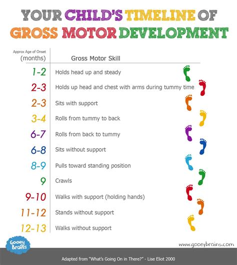 Motor Development Milestones Chart