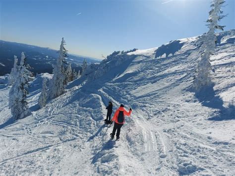 Mount Arber views