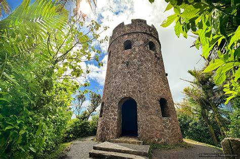 Mount Britton Tower