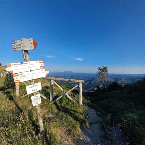 Mount Carpegna trail