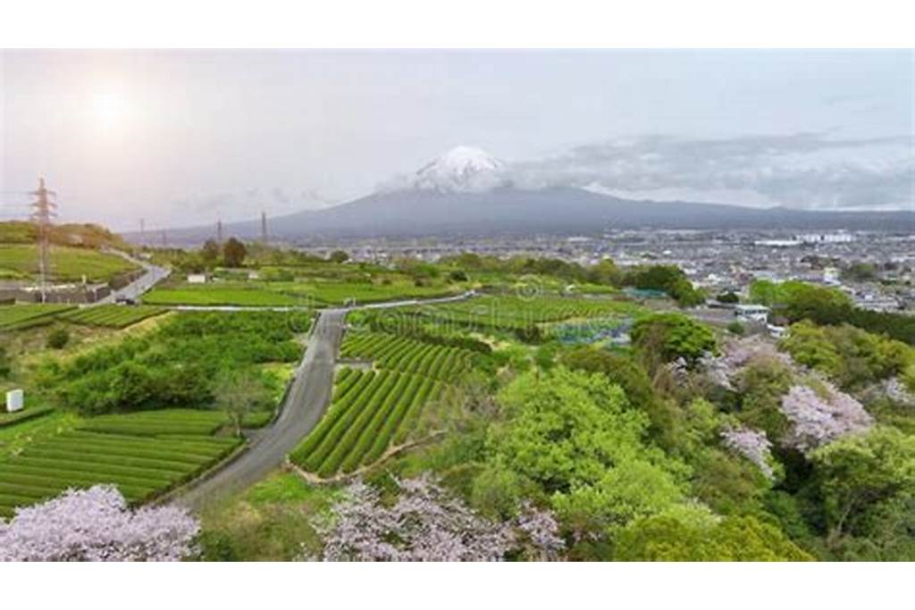 Gunung Fuji Japan