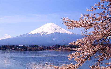 Mount Fuji Landscapes