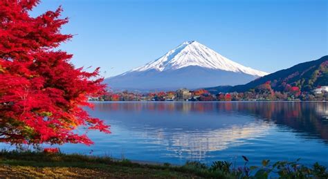 Mount Fuji Scenery