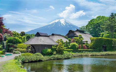 Mount Fuji viewing