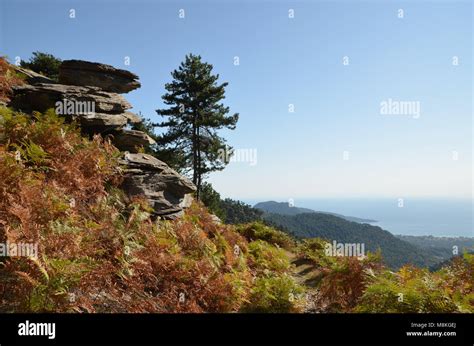 Mount Ipsarion trail