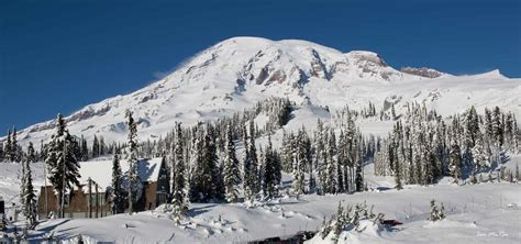 Review: Seattle Longmire & Mount Rainier Winter Day Trip