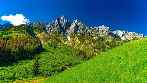 Mountain Landscape Photos