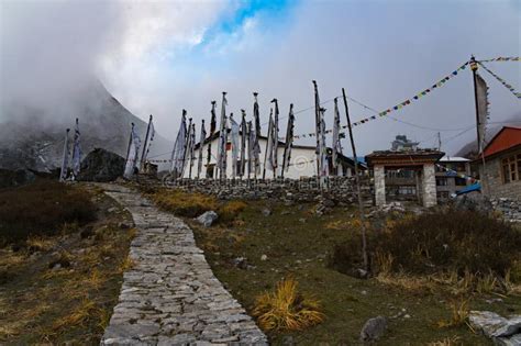 Mountain Tea Shops