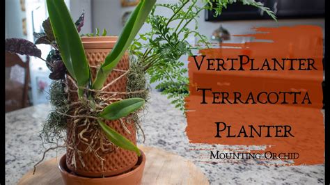 Mounting Plants