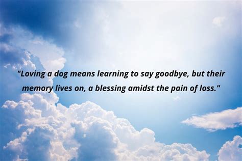 Mourning Dog Loss