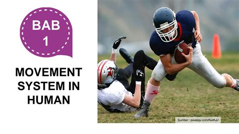 Movement System Issues: 7 Things to Know