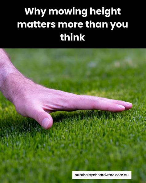 Mowing Height Matters