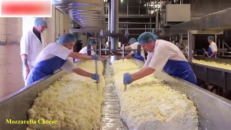 Mozzarella Cheese Factory