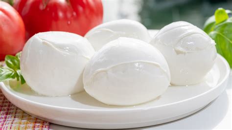 Mozzarella Cheese Tasting