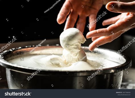 Mozzarella Making Process