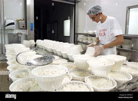 Mozzarella Production