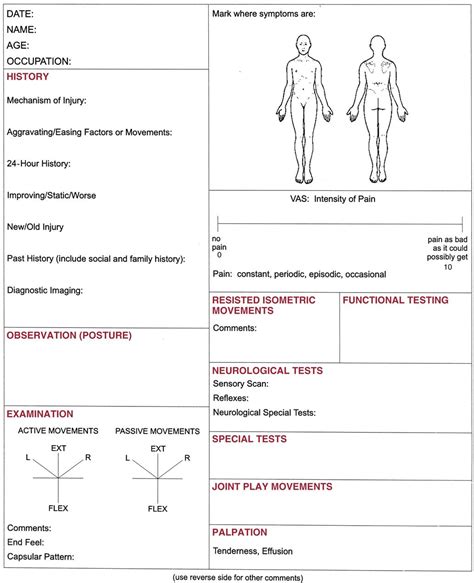 Msk Physical Exam Template
