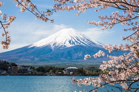 Mt Fuji Views From Lake