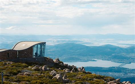Mt Wellington Small Group Tour: An Expert’s Detailed Review