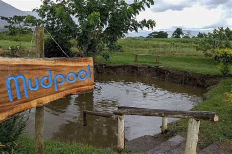 Mudpool and Hotsprings