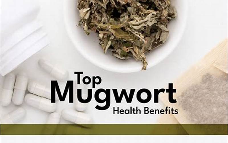 Mugwort Benefits