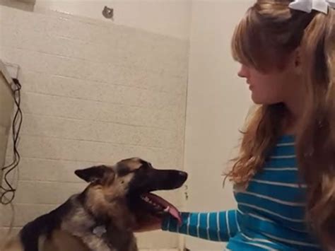 TikTok viral: Mujer realiza una videollamada con su mascota para