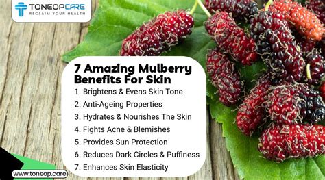 Unlocking the Beauty Secrets: Discover the Astonishing Mulberry Benefits for Flawless Skin!
