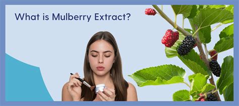 Unlock the Beauty Benefits of Nature's Treasure with Mulberry Extract for Skin