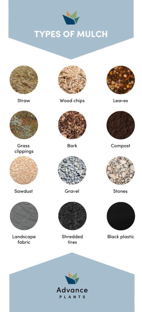 Mulch Types and Densities