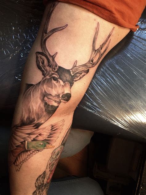 12+ Best Mule Deer Tattoo Designs PetPress