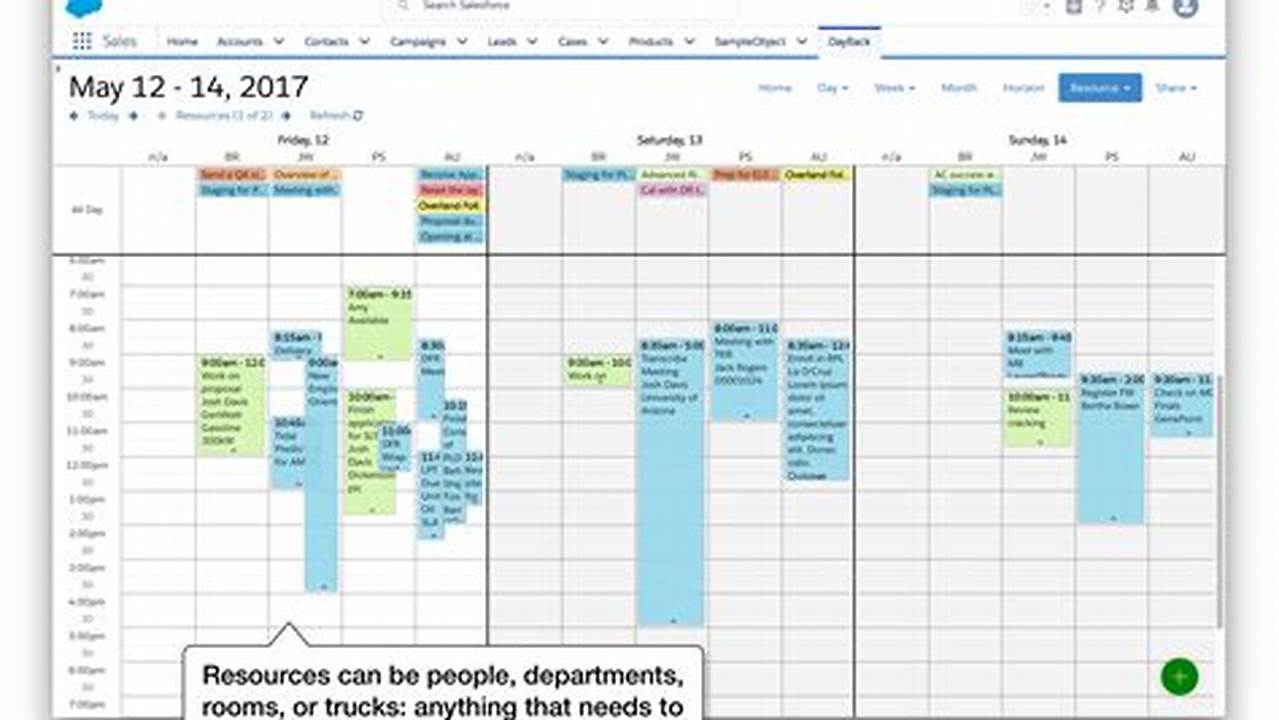 Multi User Calendar Salesforce