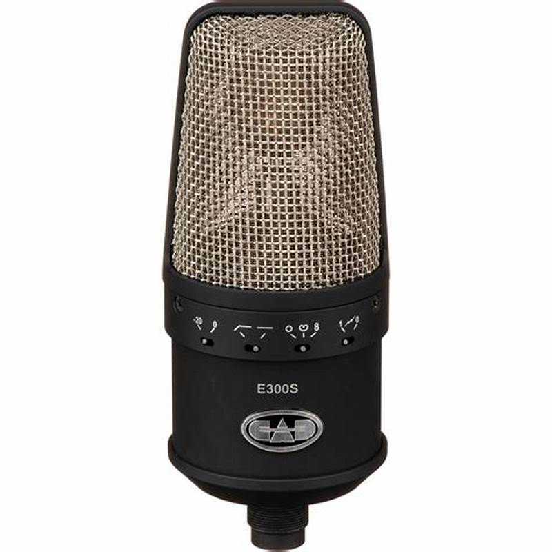 Multi Pattern Microphone