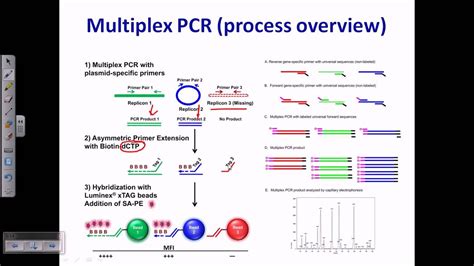 Multiplex PCR Test and interpretation