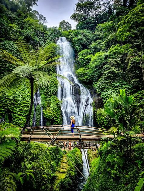 Munduk Waterfall Trekking: A North Bali Exploration Review