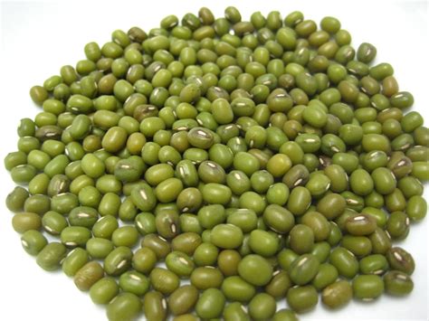 Mung Bean - Kacang Hijau