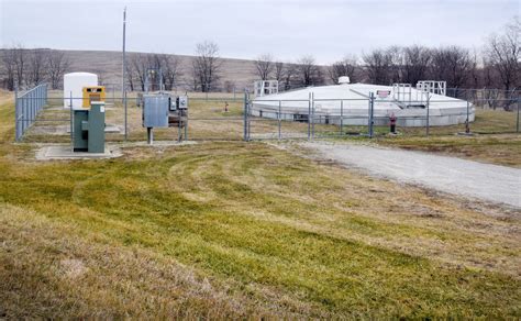 Municipal Animal Control and Local Facilities