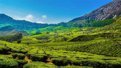 Munnar Tourism