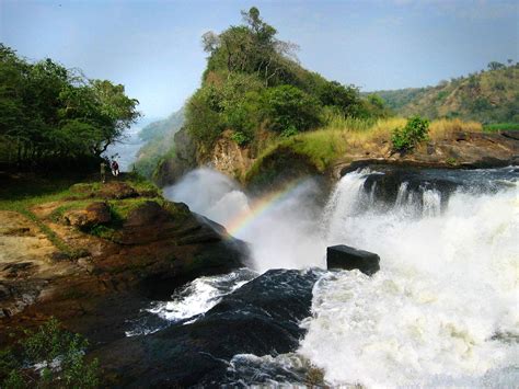 Unforgettable Murchison Falls 2-Day Safari: A Complete Review