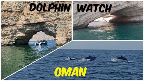 Delfines en Muscat y snorkel