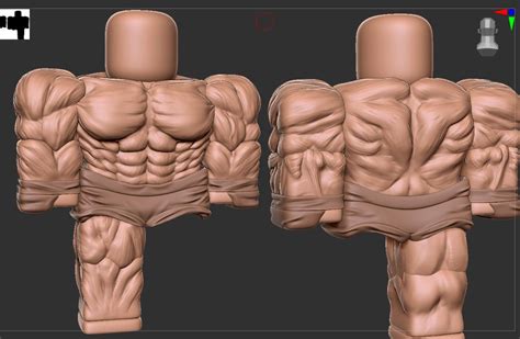 Muscle Body For Game - Roblox