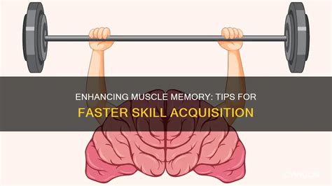 Muscle Memory: Unlock Faster Skill Acquisition