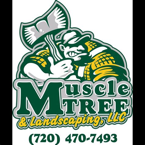 Muscle Tree And Landscaping: The Art Of Creating A Beautiful Outdoor Space