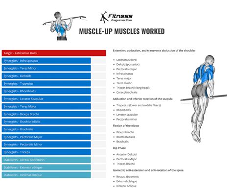Muscle Up Benefits