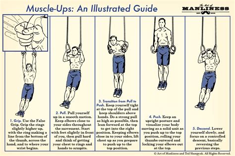 Muscle Ups Rings