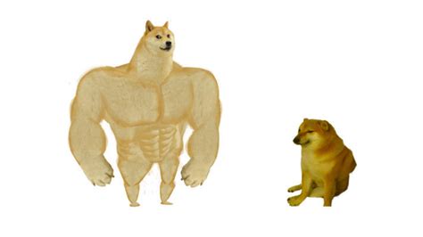 Muscular Dog Meme