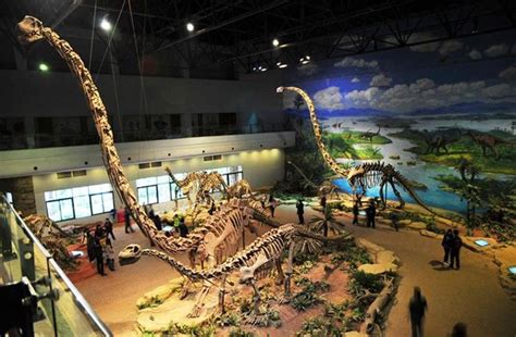 Museum Dinosaurus